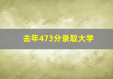 去年473分录取大学