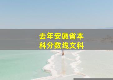 去年安徽省本科分数线文科