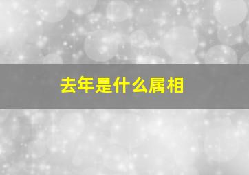 去年是什么属相