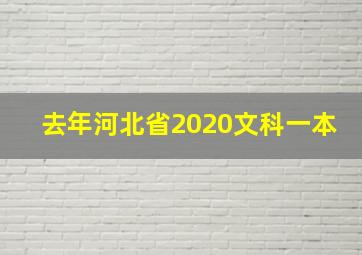 去年河北省2020文科一本