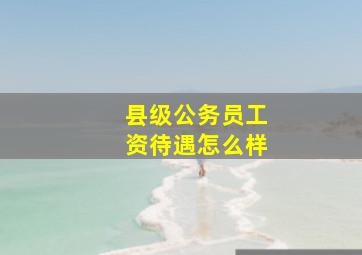 县级公务员工资待遇怎么样