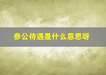 参公待遇是什么意思呀