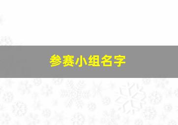 参赛小组名字