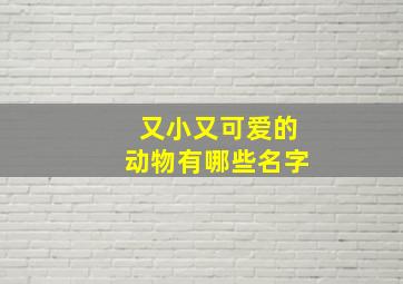 又小又可爱的动物有哪些名字