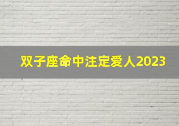 双子座命中注定爱人2023