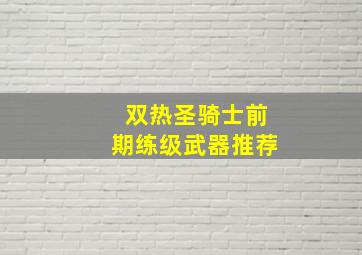 双热圣骑士前期练级武器推荐