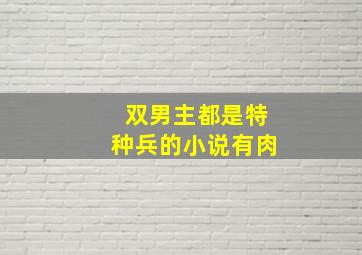 双男主都是特种兵的小说有肉