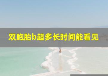 双胞胎b超多长时间能看见