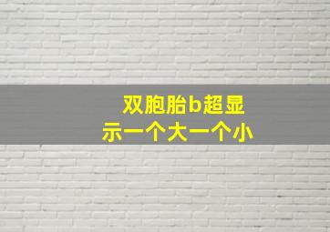 双胞胎b超显示一个大一个小