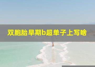 双胞胎早期b超单子上写啥