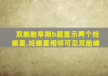 双胞胎早期b超显示两个妊娠囊,妊娠囊相邻可见双胎峰