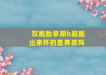 双胞胎早期b超能出来怀的是男孩吗