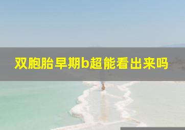 双胞胎早期b超能看出来吗