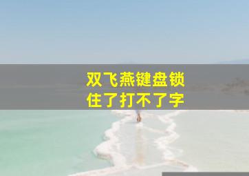 双飞燕键盘锁住了打不了字