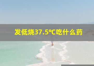 发低烧37.5℃吃什么药