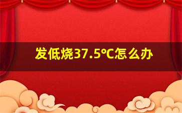 发低烧37.5℃怎么办