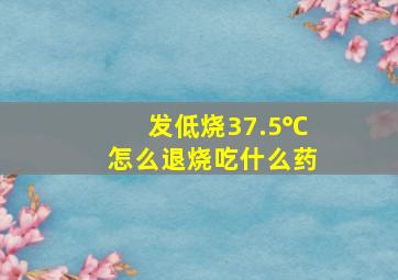 发低烧37.5℃怎么退烧吃什么药