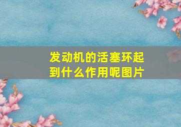 发动机的活塞环起到什么作用呢图片