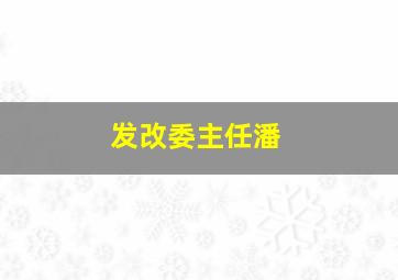 发改委主任潘