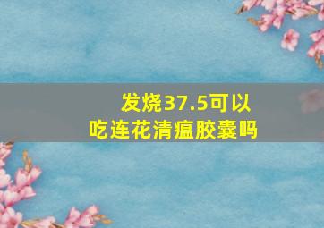 发烧37.5可以吃连花清瘟胶囊吗