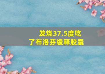 发烧37.5度吃了布洛芬缓释胶囊