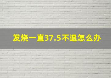 发烧一直37.5不退怎么办