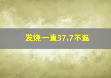 发烧一直37.7不退