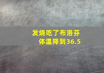 发烧吃了布洛芬体温降到36.5