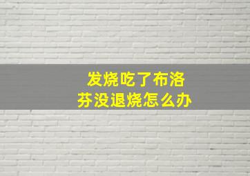 发烧吃了布洛芬没退烧怎么办