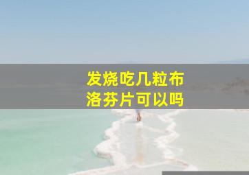 发烧吃几粒布洛芬片可以吗