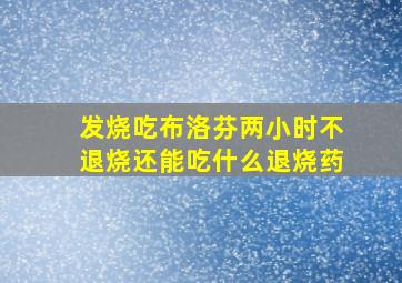 发烧吃布洛芬两小时不退烧还能吃什么退烧药