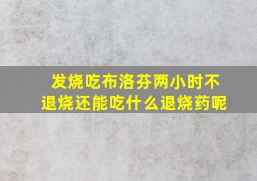 发烧吃布洛芬两小时不退烧还能吃什么退烧药呢