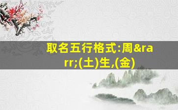 取名五行格式:周→(土)生,(金)