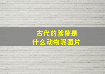 古代的饕餮是什么动物呢图片