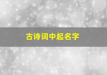 古诗词中起名字