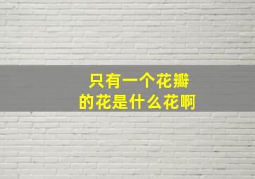 只有一个花瓣的花是什么花啊