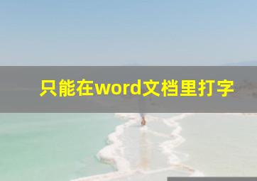 只能在word文档里打字