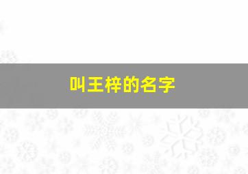 叫王梓的名字