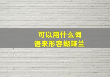 可以用什么词语来形容蝴蝶兰