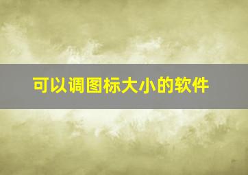 可以调图标大小的软件