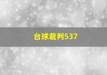 台球裁判537