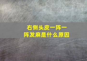 右侧头皮一阵一阵发麻是什么原因