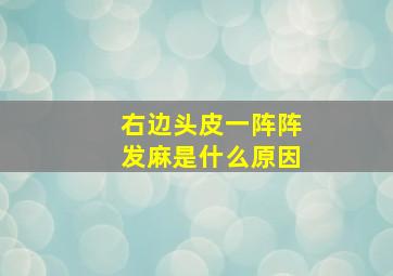 右边头皮一阵阵发麻是什么原因