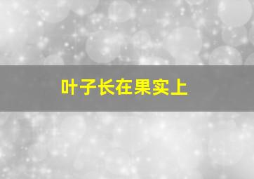 叶子长在果实上