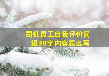 司机员工自我评价简短30字内容怎么写