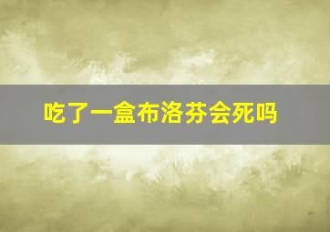 吃了一盒布洛芬会死吗