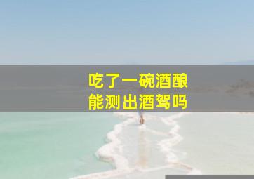 吃了一碗酒酿能测出酒驾吗