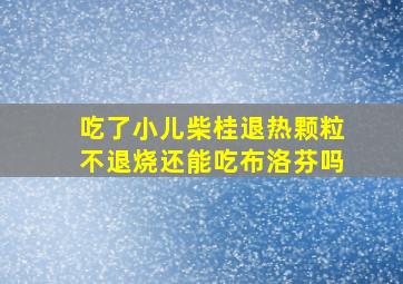 吃了小儿柴桂退热颗粒不退烧还能吃布洛芬吗