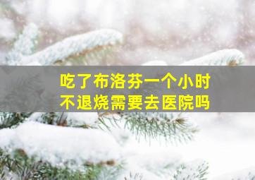 吃了布洛芬一个小时不退烧需要去医院吗