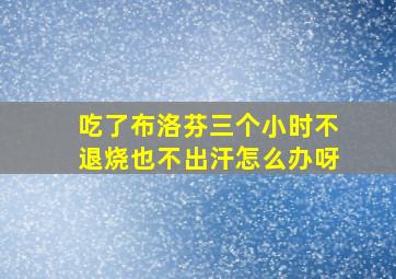 吃了布洛芬三个小时不退烧也不出汗怎么办呀